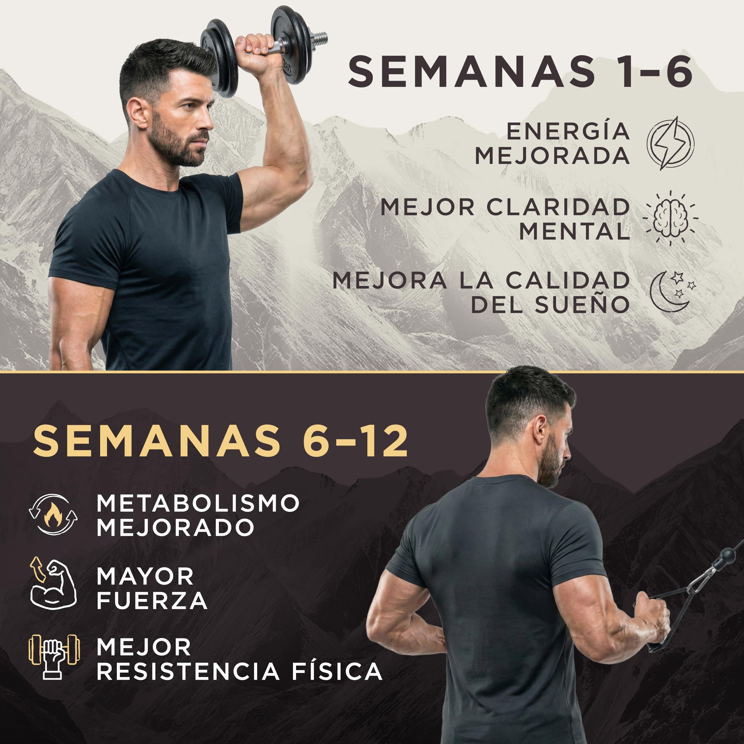 Resina de Shilajit Dorado 40g – 81% Ácido Fúlvico, B12 & Minerales – Energía, Enfoque & Resistencia – Vegano, Probado en Laboratorio – Suministro de 3 Meses
