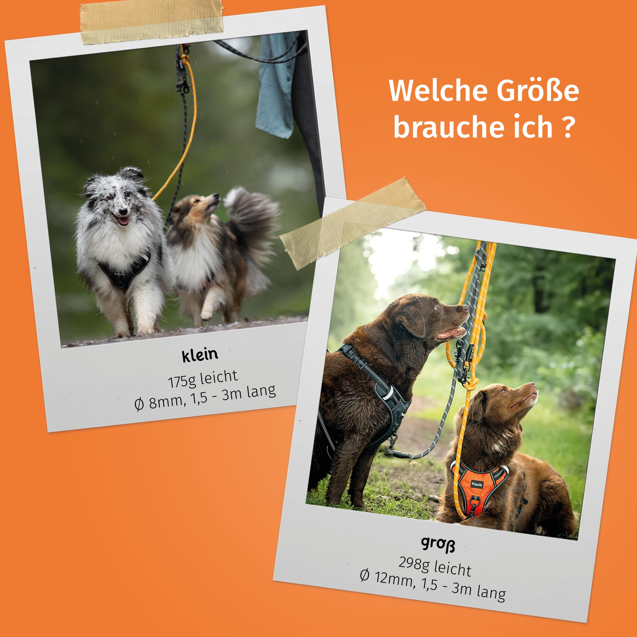 Floxik Premium Führleine für Hunde grün | Hundeleine 3m verstellbar | Tauleine für kleine & mittelgroße Hunde | Robuste und stilvolle Umhängeleine für euer gemeinsames Outdoorabenteuer.