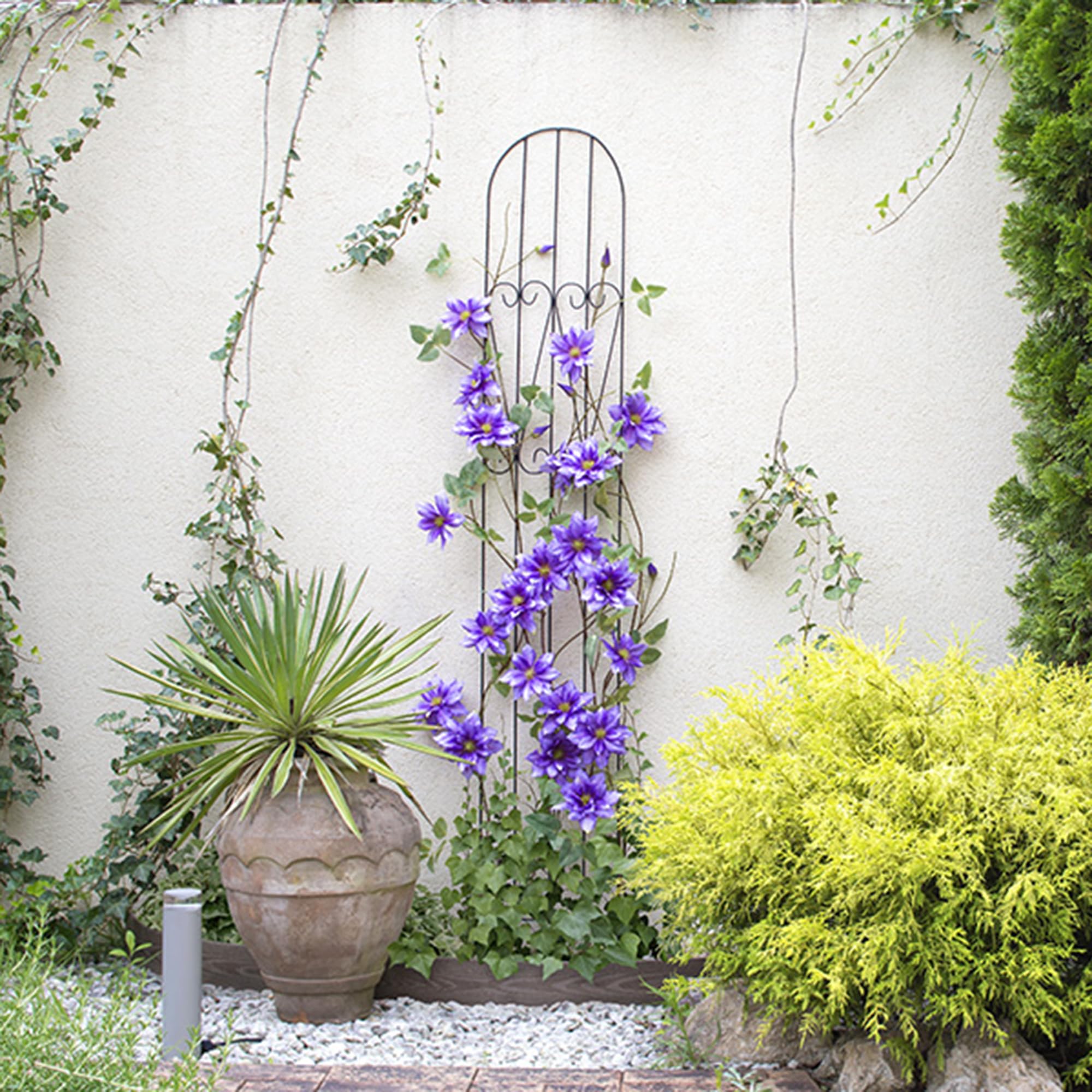 Amazon | タカショー シンプルトレリス150 完成品 約幅29×奥行0.7×高さ