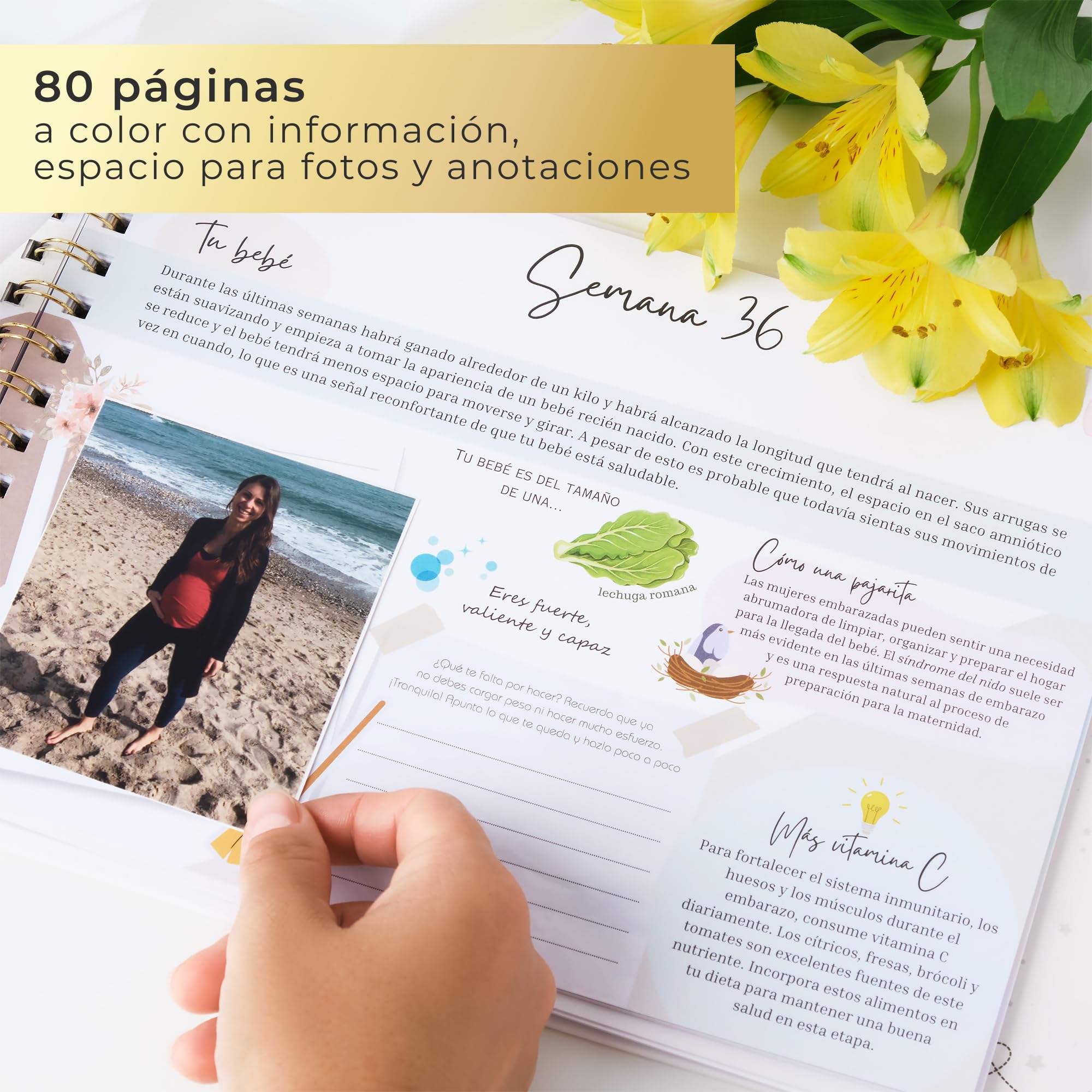 Hola Mi Bebé - Diario Embarazo, Libro Bebe: Regalos Embarazadas Originales - Stickers Consejos Registra Recuerdos Embarazo Primer Año - Tapa Dura Wire-o Detalles en Dorado Caja Regalo