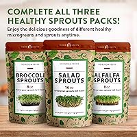 Vista 9 de HOME GROWN Semillas de brote de alfalfa sin OMG, 16 oz (453.6 g) Paquete a granel con miles de semillas de alfalfa para brotes y microgreens