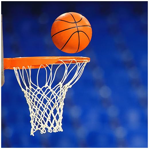 Basketball Play Designer and Coaching Playbook