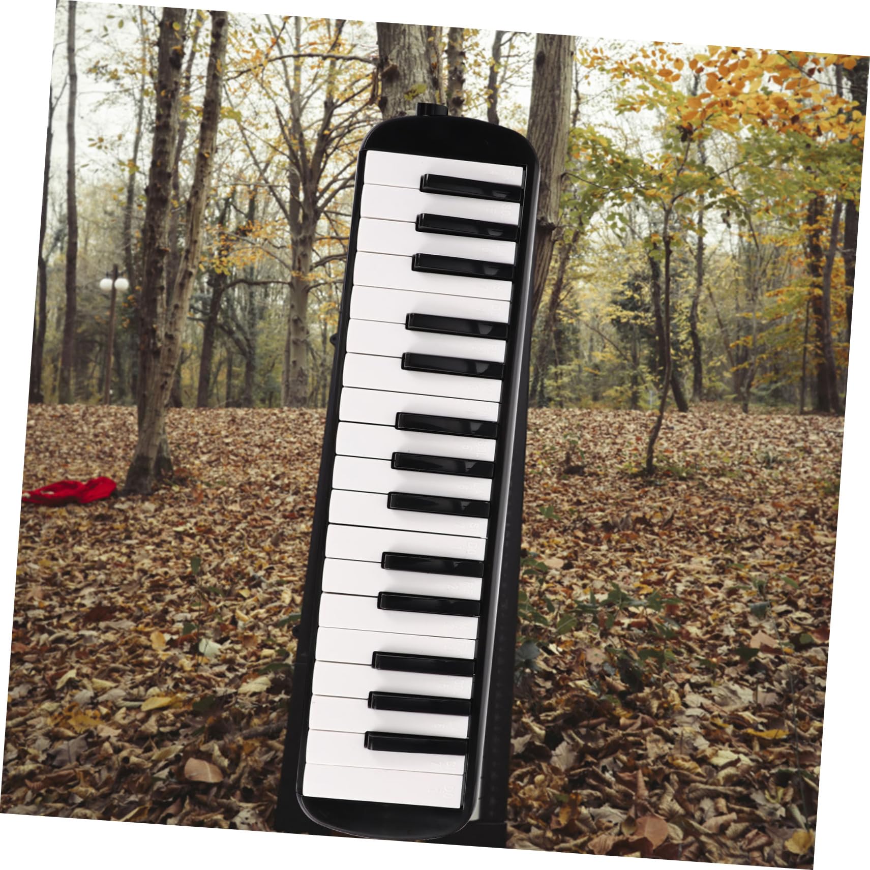 Melodica de Teclas para Adultos Instrumento Musical Portable para Principiantes y Desarrollo de Musicales