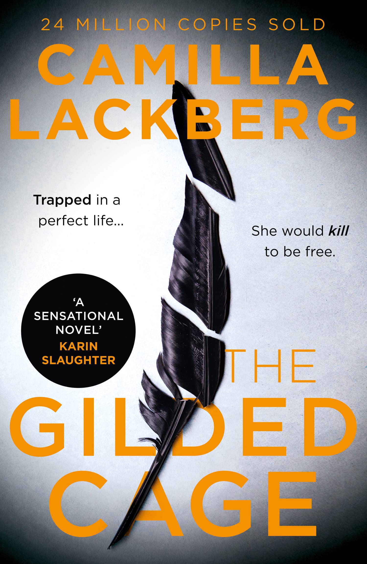 The Gilded Cage: The gripping, escapist new crime suspense thriller from the No. 1 international bestselling author: Book 1 (Faye’s Revenge)