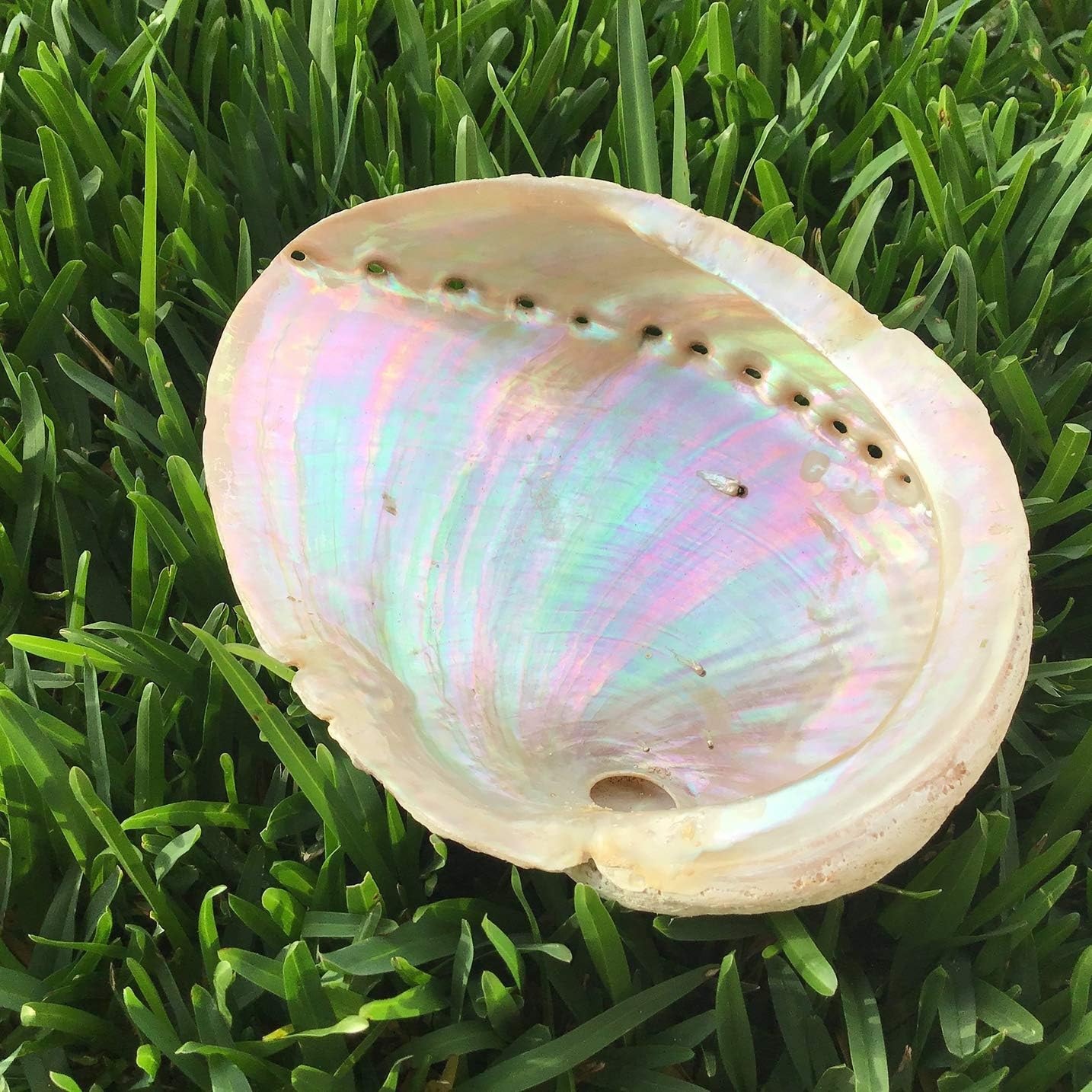 316L Stainless Steel Comfort Fit Natural White Abalone Paua Shell Inlay Hawaiian Flat Top Bangle Bracelet (Width: 6mm, 8mm, 10mm, 12mm) (Size: 7.5", 8", 8.5")
