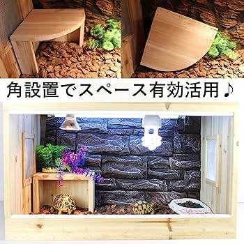 Amazon | SAEYZ 隠れ家 シェルター 爬虫類 リクガメ 亀 カエル