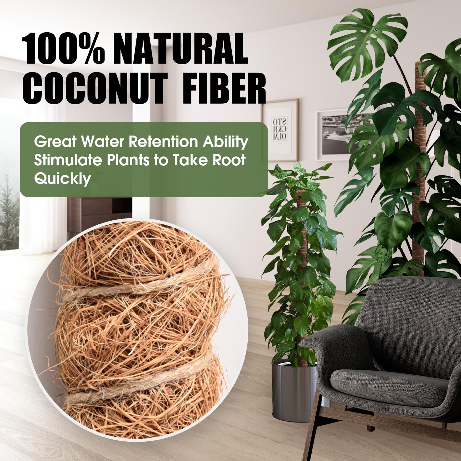 Monstera-Pflanzstäbe, Moosstangen, 160 cm, 4 Stück | Kletter-Innenbereich, groß, biegbar, handgefertigt, DIY-Form, nach oben wachsen