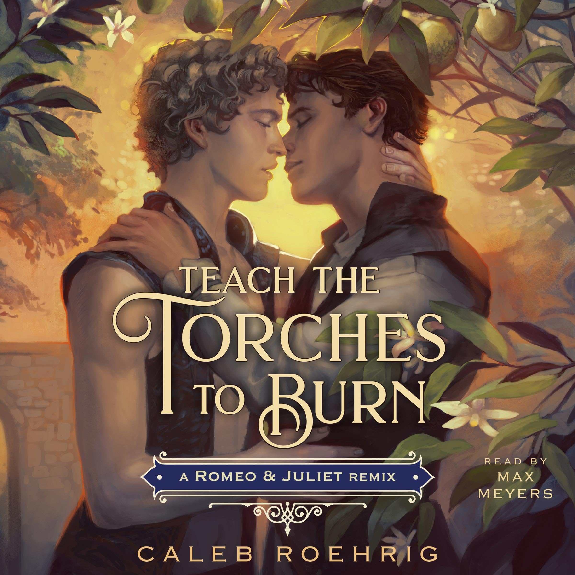 Cover art for Teach the Torches to Burn: A Romeo &amp; Juliet Remix