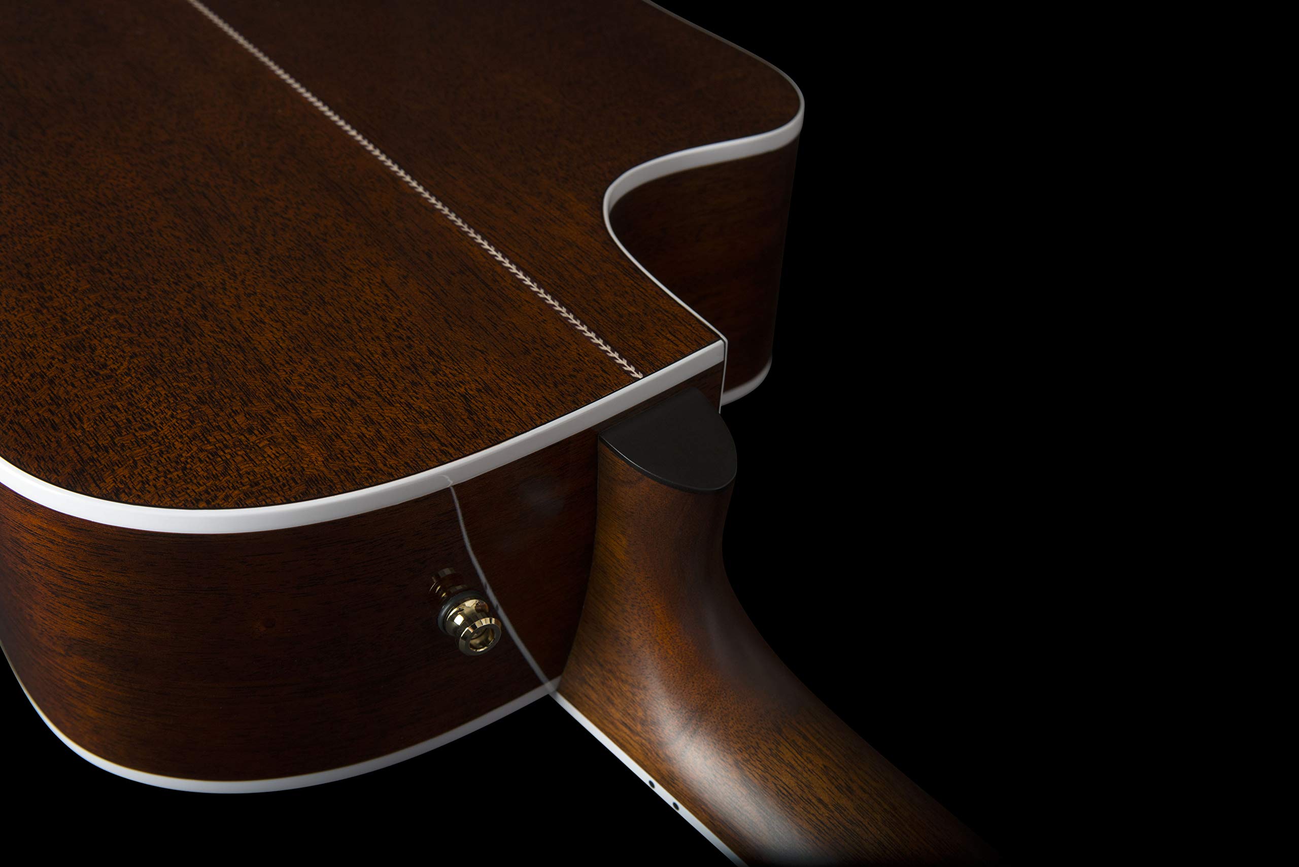 Amazon.com: Seagull Artist Mosaic CW HG Anthem EQ Acoustic