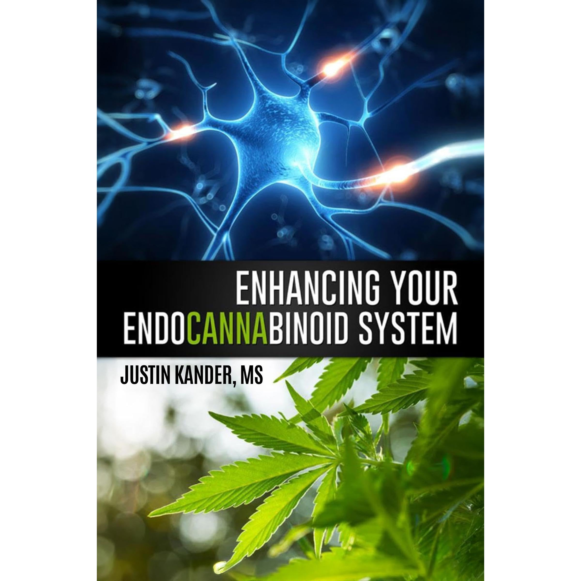 Enhancing Your Endocannabinoid System