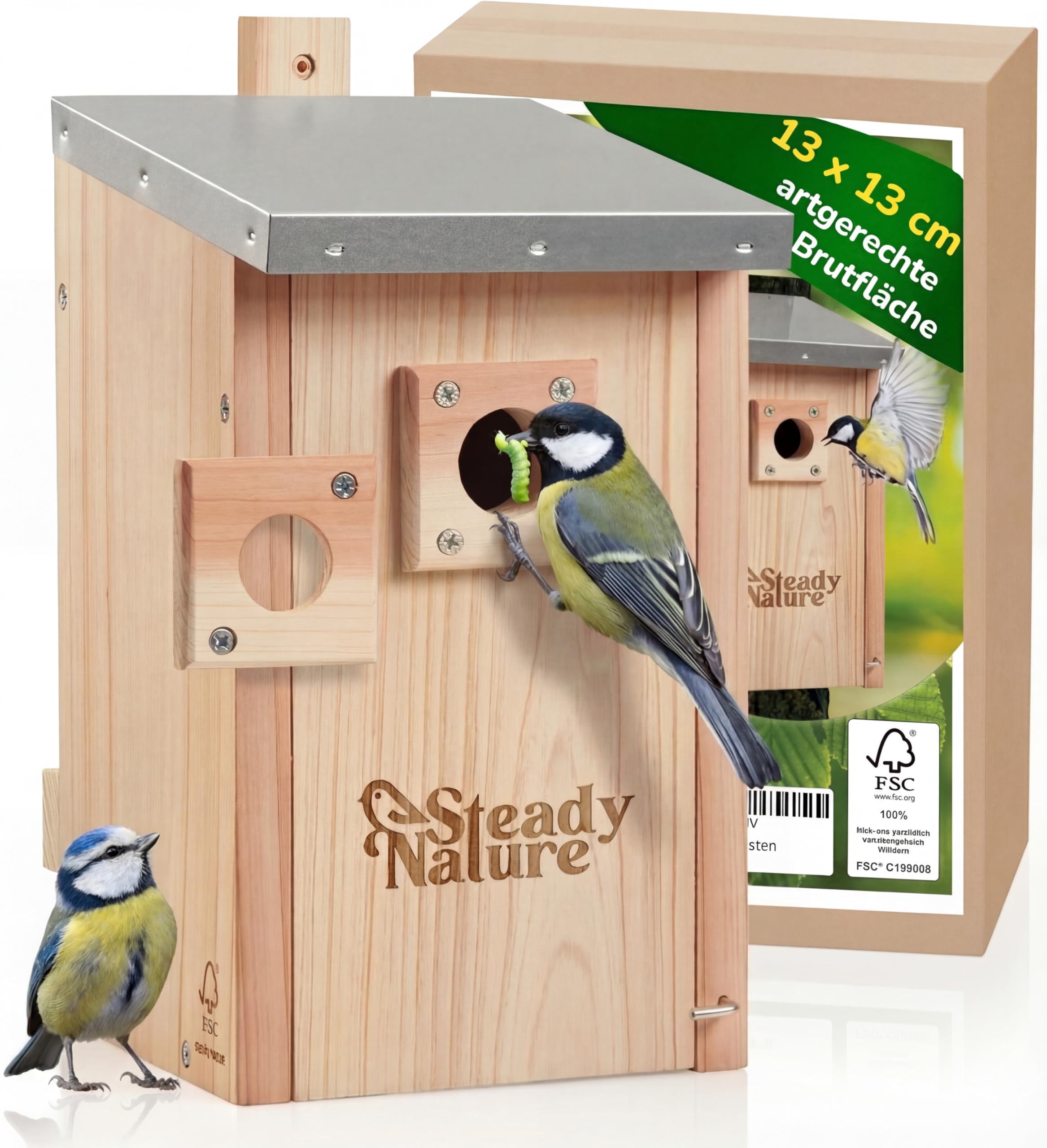 Steady Nature Nistkasten Meisen für Blaumeisen und Kohlmeisen - Meisennistkästen zum Aufhängen - Meisenkasten - Vogelhaus - Vogelhotel - Brutkasten für Vögel