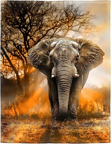HommomH Manta de elefante africano naranja de 40 x 50 pulgadas, manta de forro polar suave y esponjosa para mujer