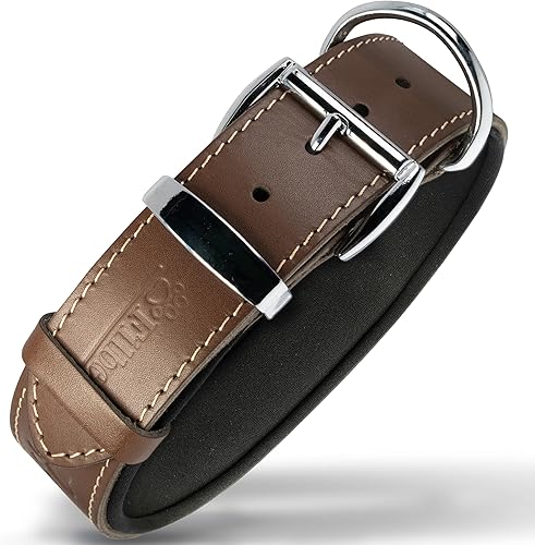 Filbert Collar de cuero para perro, collar de cuero genuino para perros grandes, collar de perro de cuero en relieve con hebilla, collar de cuero de