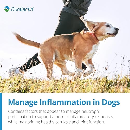 Miniatura 5 de PRN Pharmacal Duralactin Canine Soft Chews - Suplemento de salud articular para perros y cachorros para ayudar a reducir el dolor crónico,