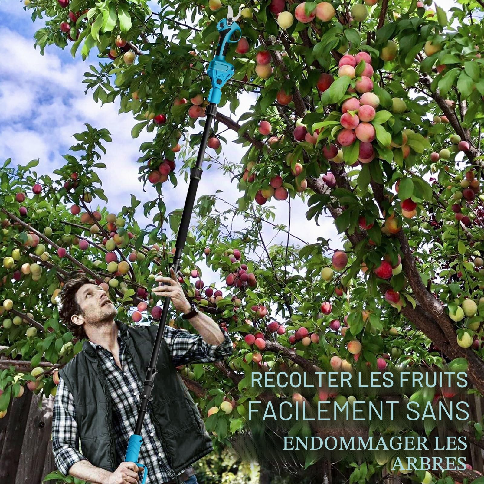 Coupe-branches électrique 2 en 1 avec batterie, 70 mm, avec 2 piles de 3000 mAh, rallonge de 2 m, moteur sans balais pour élagage d'arbres, coupe-branches