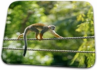Dish Drying Mat - Common Squirrel monkey, Costa Rican Rainforest - SA22 DSL0000 - David Slater Monkeys