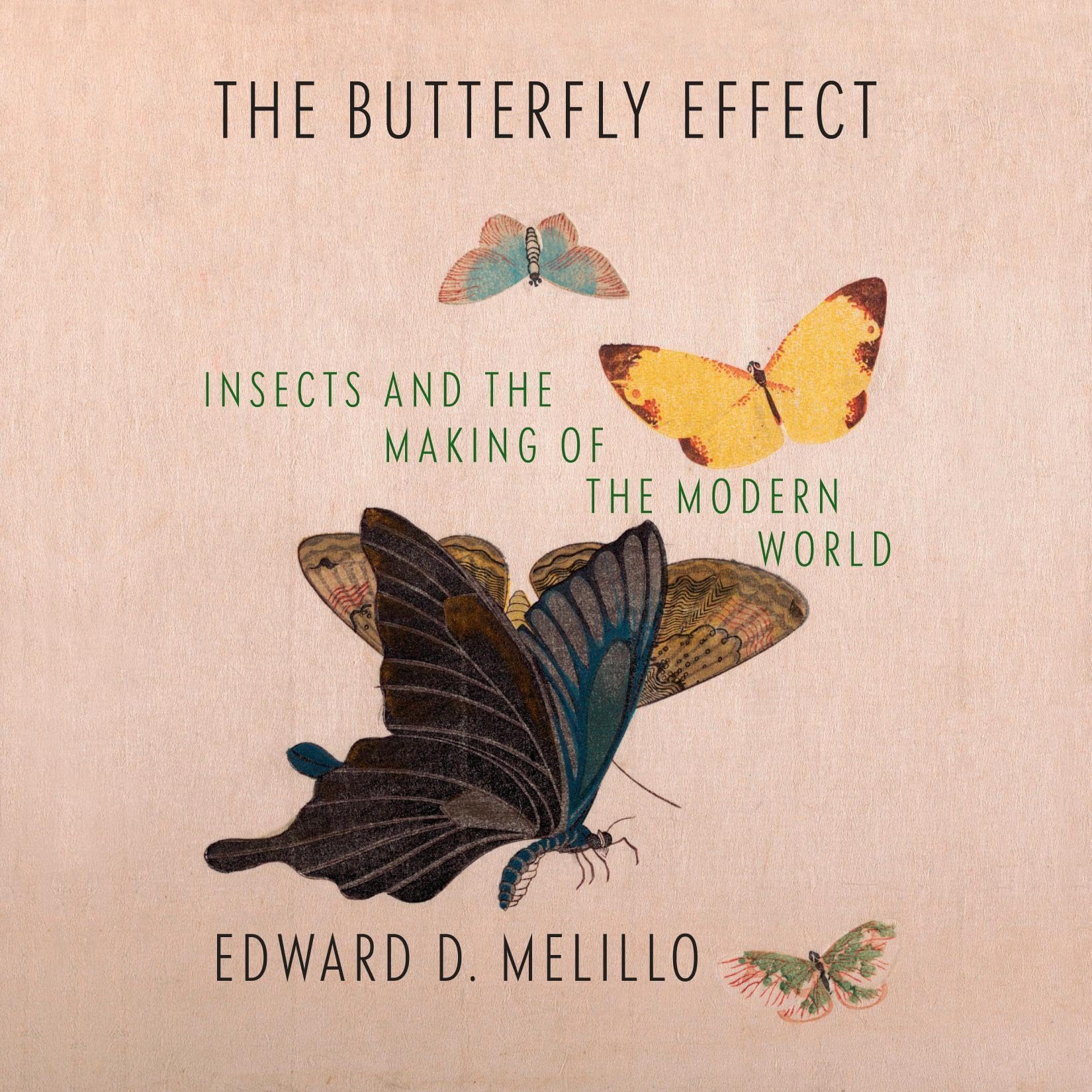 Cover art for The Butterfly Effect