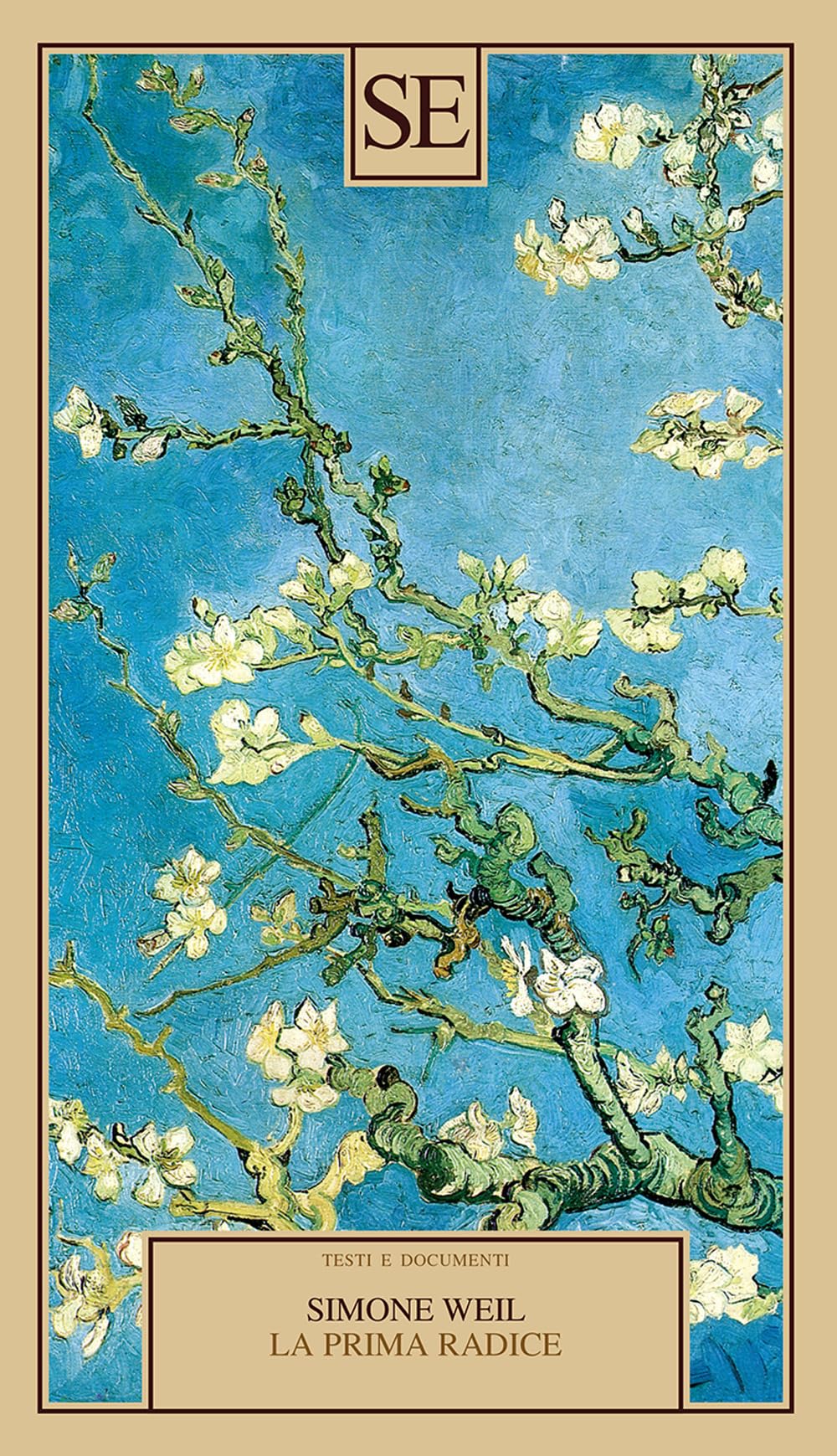 La Prima Radice - 4