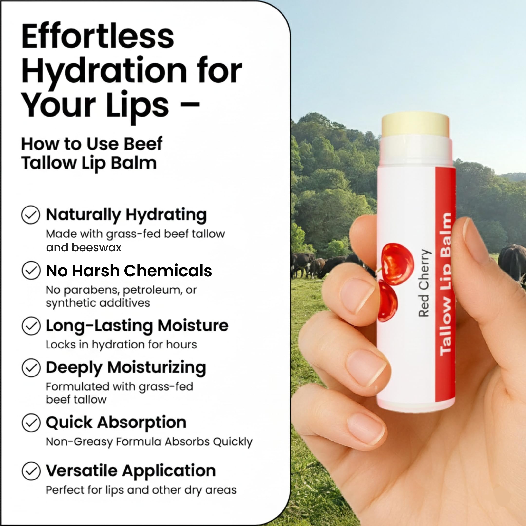 Cattle Creek - Balsamo per labbra al sebo con ingredienti biologici e completamente naturali, idratazione a lunga durata per labbra secche e screpolate, formula lenitiva per