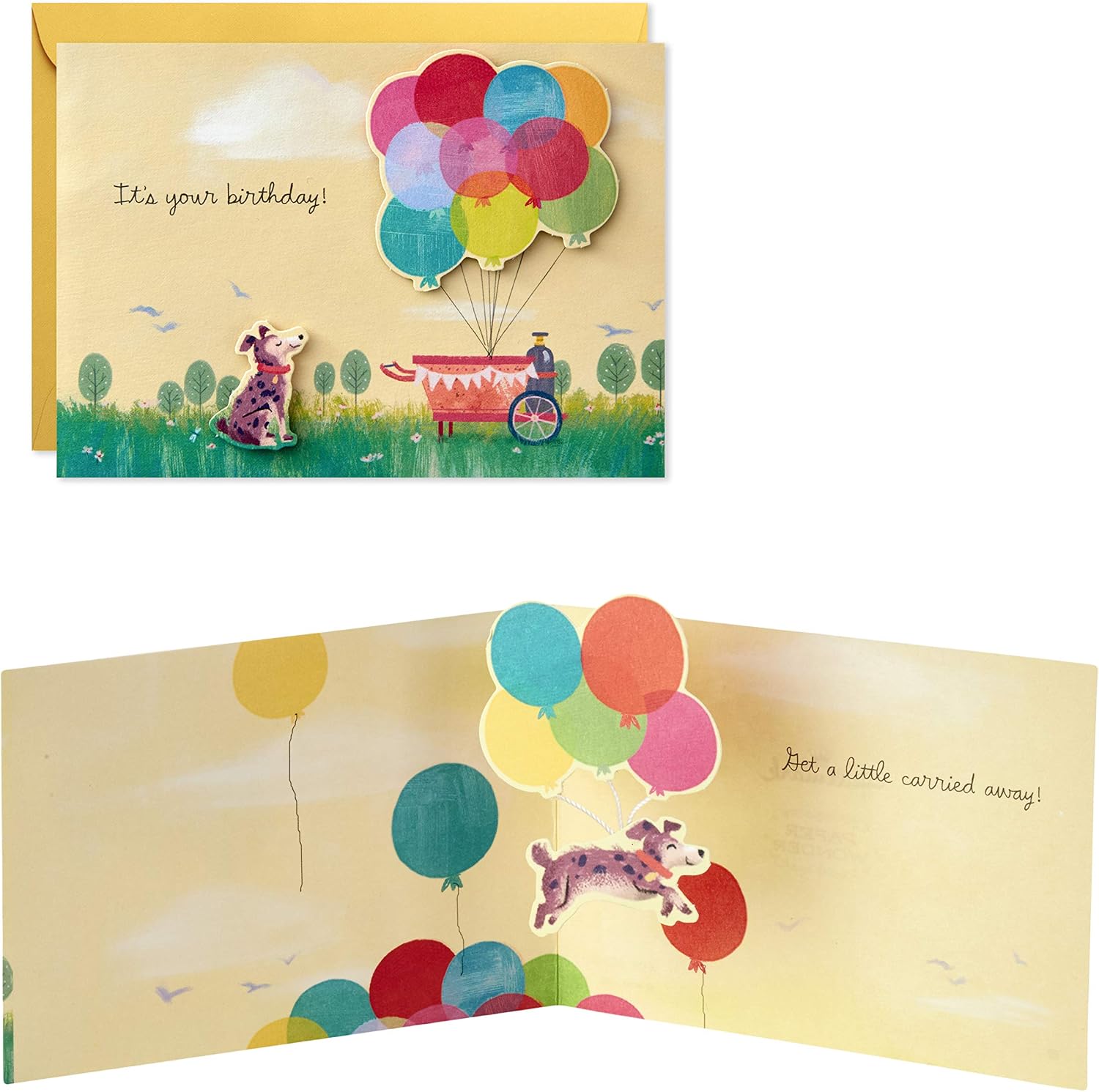 Hallmark Paper Wonder Pop Up Birthday Cards Assortment (5 Cards with Envelopes), Paper Wonder, 5 Cards & Envelopes - Image 3