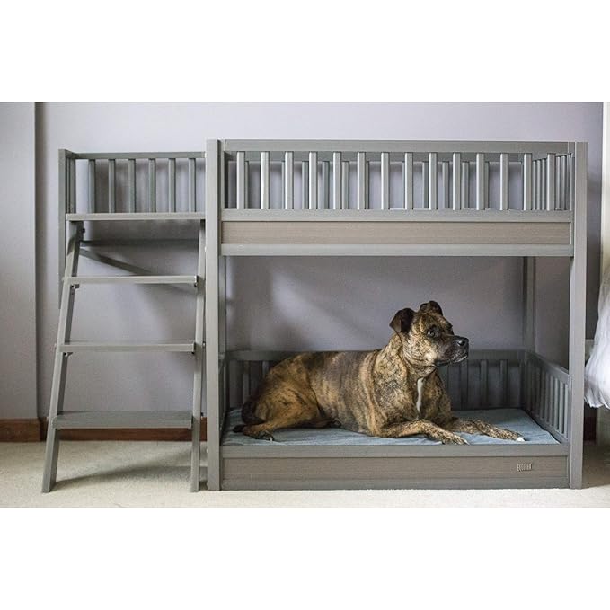 large dog bunk bed