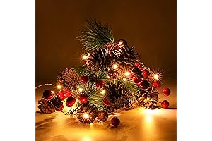 Luditek Christmas Garland Lights: Festive Holiday Ambiance with Red Berry Accents