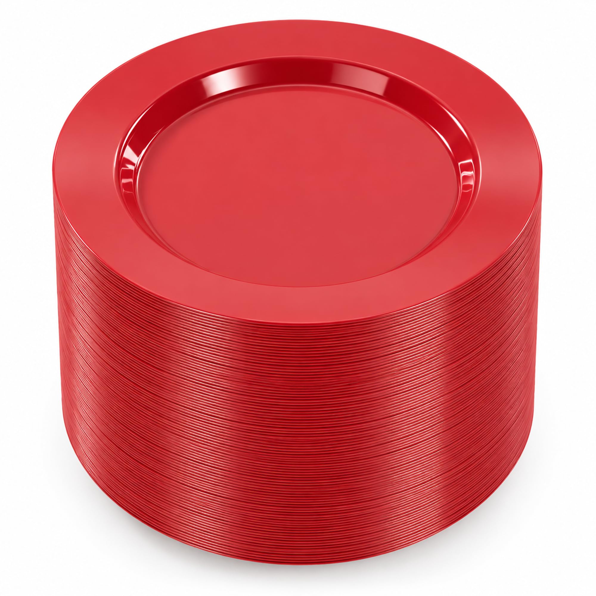 Silver Disposable Plates - 100 Pack -12