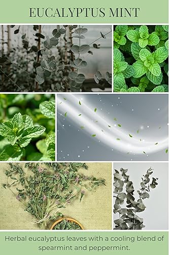 Miniatura 2 de Eco Candle Co. Vela reciclada, eucalipto y menta, 26 onzas. Aromas de eucalipto, menta verde y menta - 100% cera de soja, sin plomo, etiqueta y tapa