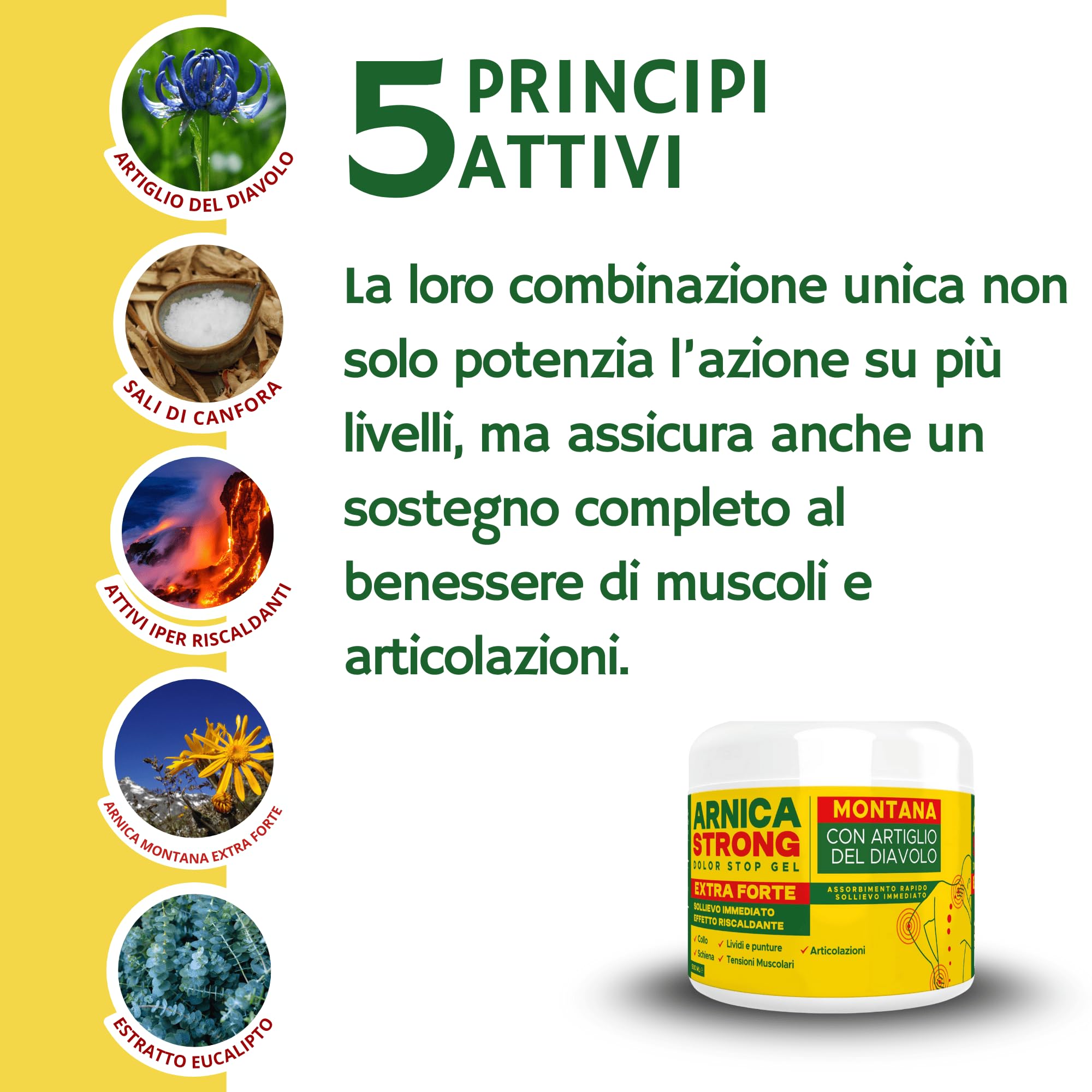 Arnica gel Forte - Arnica Per Cavalli Uso Umano 99% e Artiglio Del Diavolo forte crema riscaldante muscoli sportiva per massaggio cervicale e lombare-ImmunoSTRONG