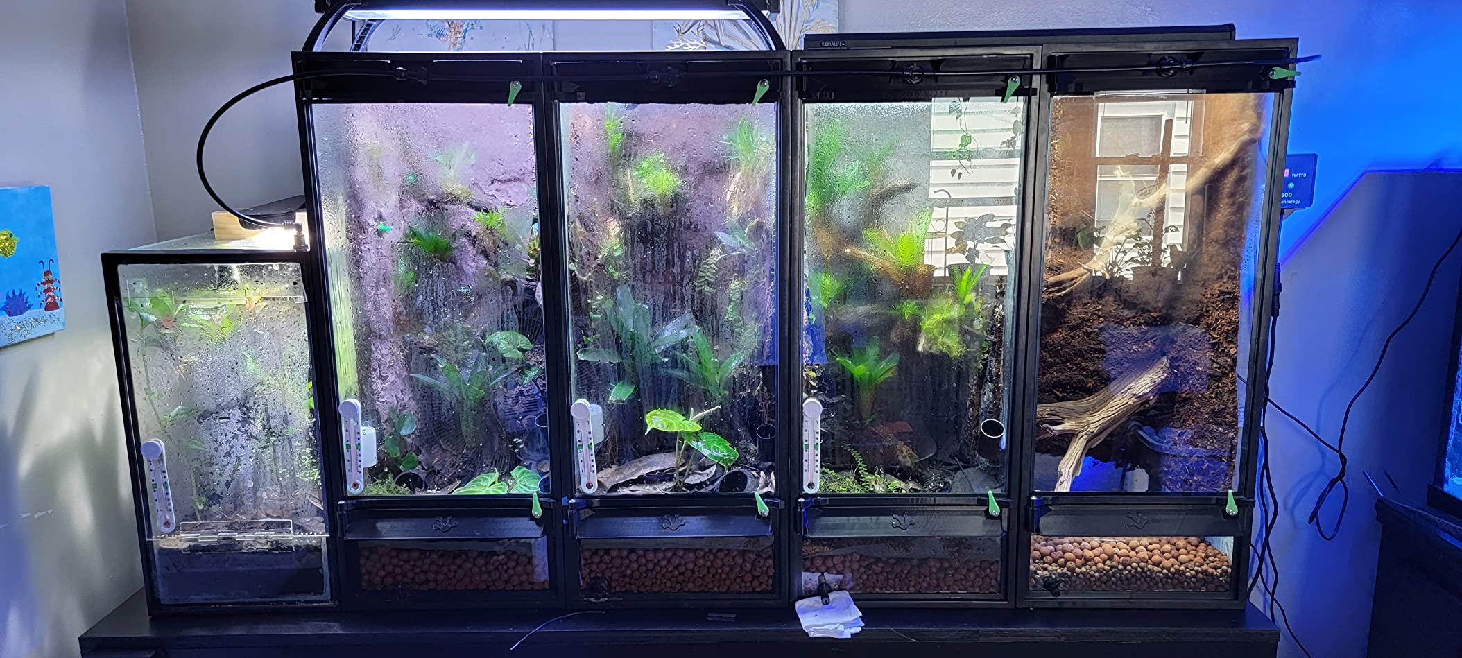 6/mo Finance MistKing 22255 Double Misting Assembly Fitting T Value