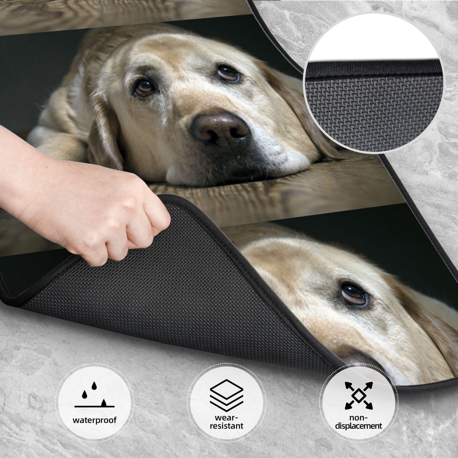 EIN liebenswerter Labrador-Hund, 4er-Set Auto-Fußmatten, Neopren-Fußmatten für Fahrzeuge, rutschfeste Auto-Fußmatten, Autozubehör