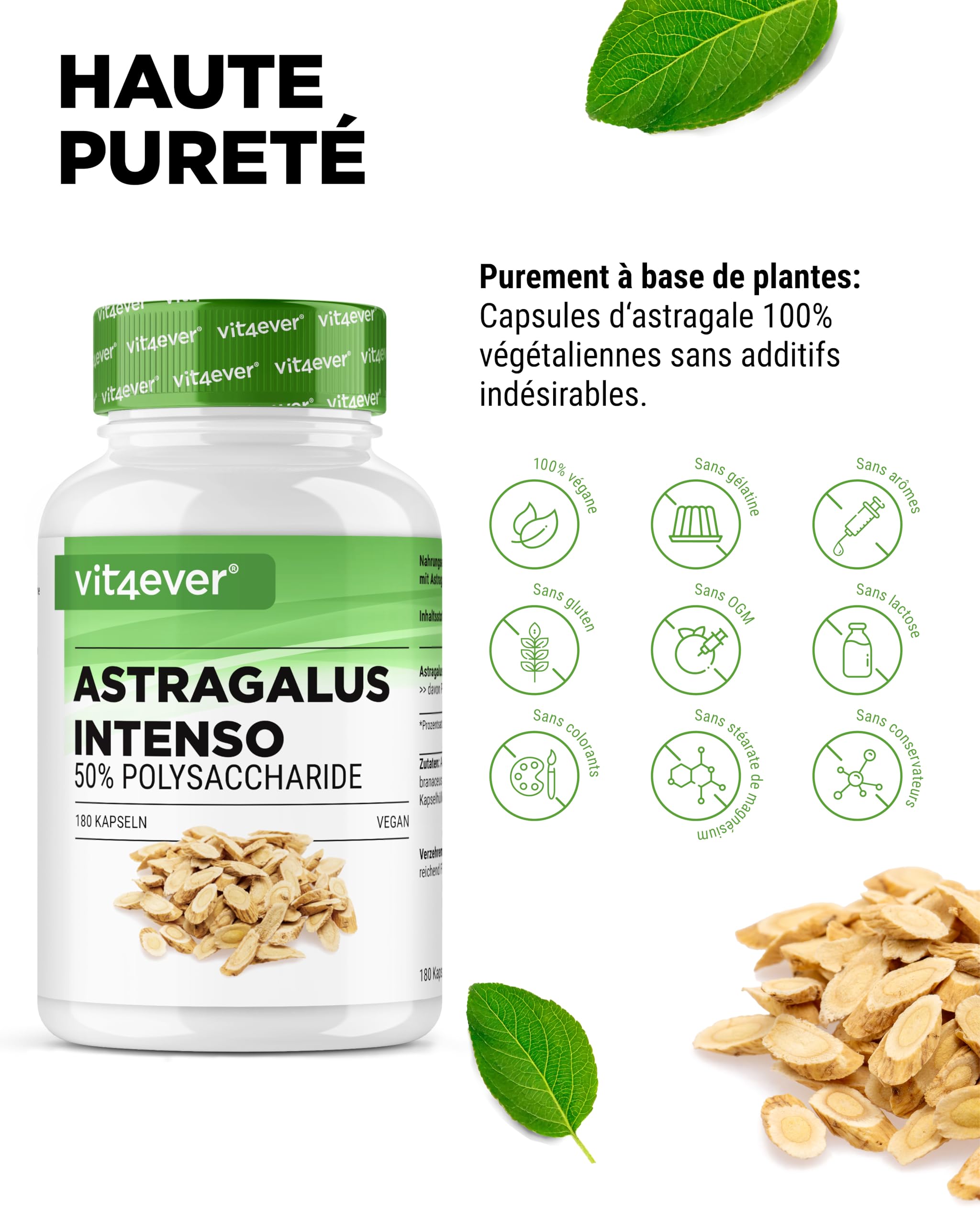 vit4ever Astragalus - Hautement Dosé avec 1400 mg d'Extrait pur par Jour - 180 capsules - Premium : 50% Polysaccharides - Extrait pur de Gomme Adragante - Sans Additifs Indésirables - Vegan