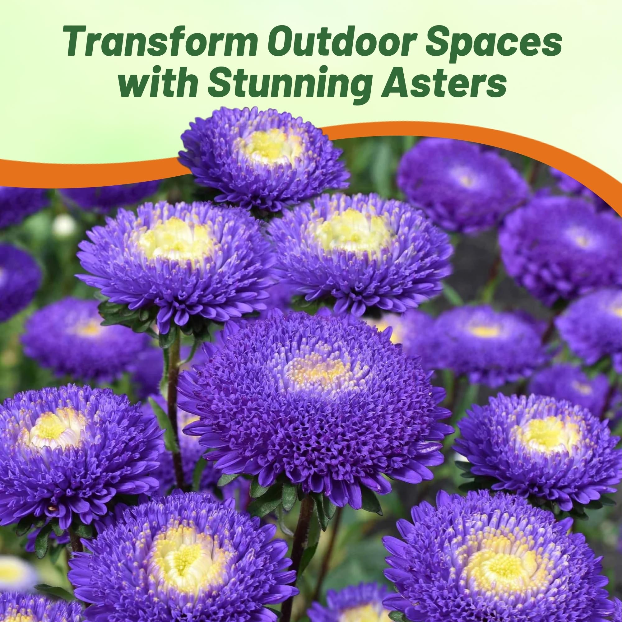 best disc golf courses in texas