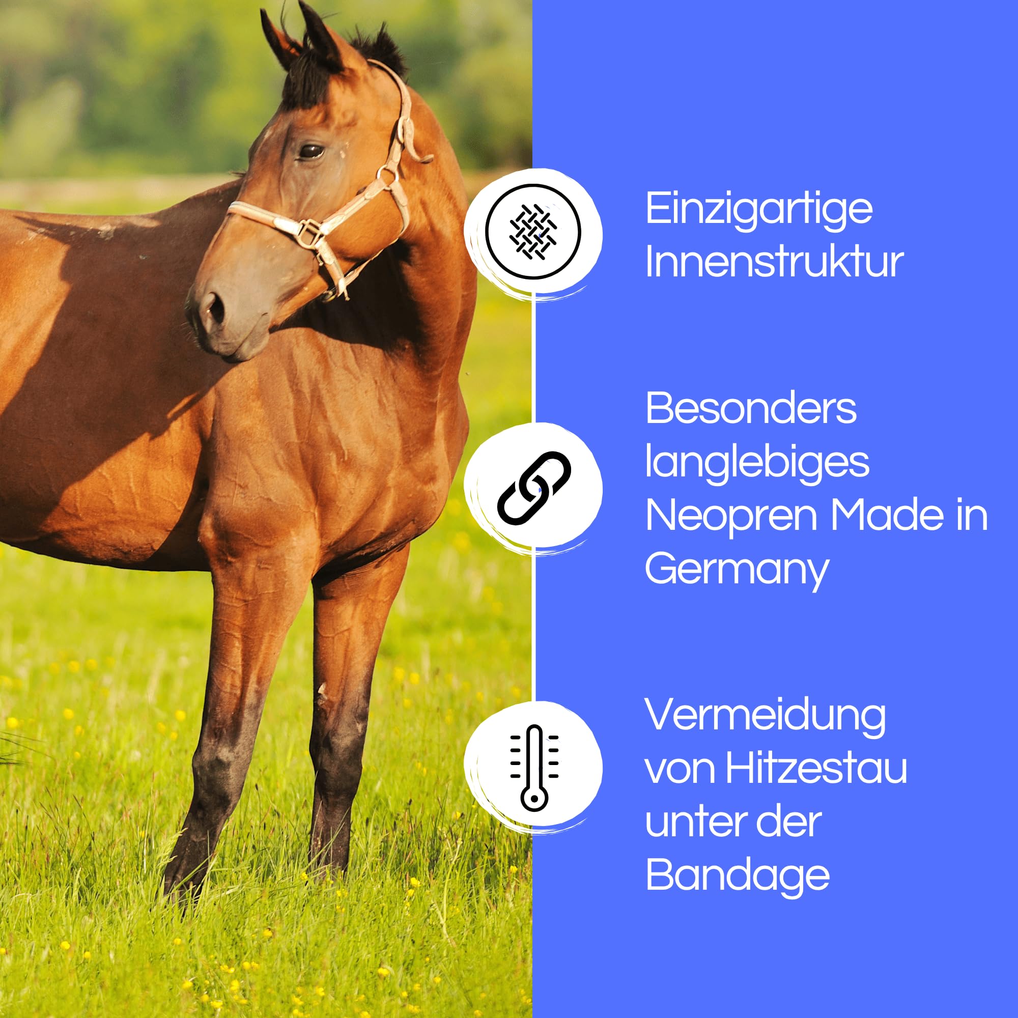 TSM Pferdebandage Vorderfußwurzelgelenk | Reha-Bandage aus Neopren | Schutz & Regeneration bei Arthrose & Entzündungen | Artikelnr 7201 | Made in Germany | Links, Größe S