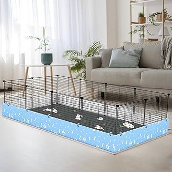 ギニーピッグ GINT PIGGU　確認用 ギニーピッグ GINT PIGGU 確認用 Amazon.co.jp: Guinnie Pig