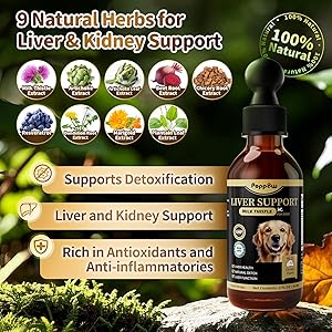 POPPAW Milk Thistle for Dogs 9-in-1 Liver and Kidney Support Drops with Artichoke, Resveratrol, Marigold Extract, 100% Natural Detox Supplement for Liver Function, Split Dropper, Chicken Flavor, 2Oz