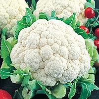 Snowball Cauliflower Seeds - 200 Non-GMO Heirloom Seeds with Instructions | Axel's Garden for Easy Home Vegetable Garden