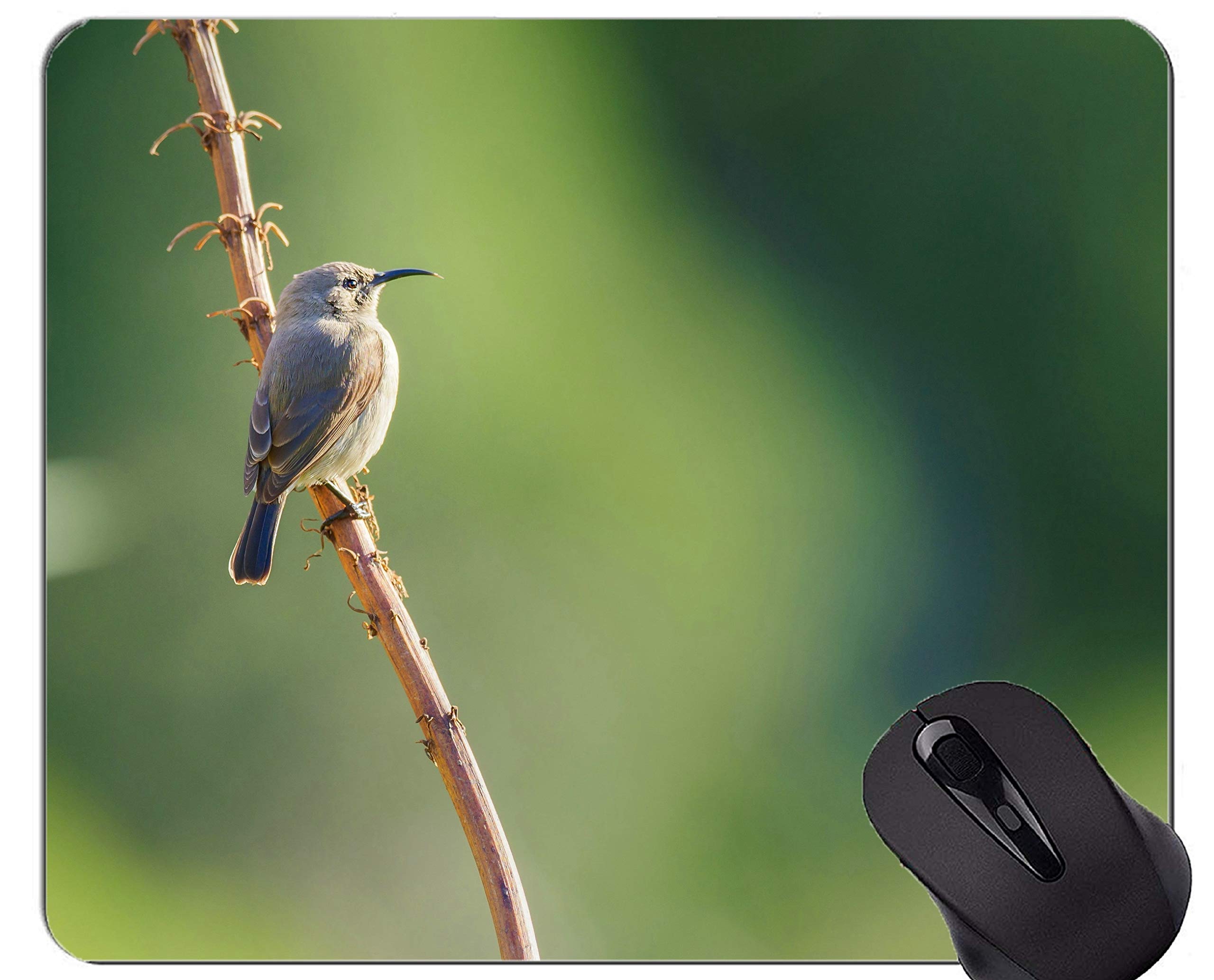 Gaming Mouse Pad Custom,Sunbird female bird Mouse Mat