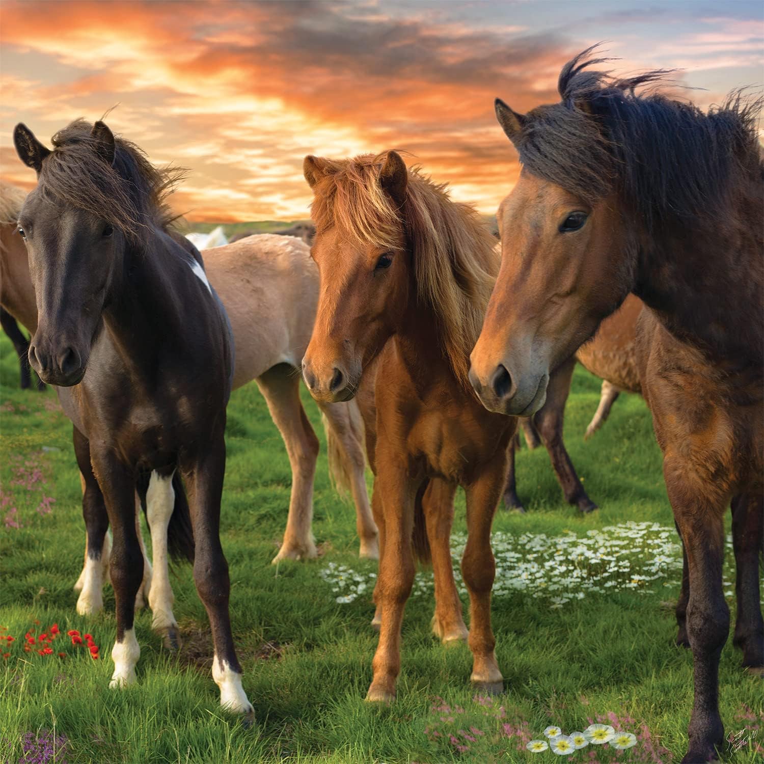 Buffalo Games - Icelandic Horses - 300 Large Piece Jigsaw Puzzle