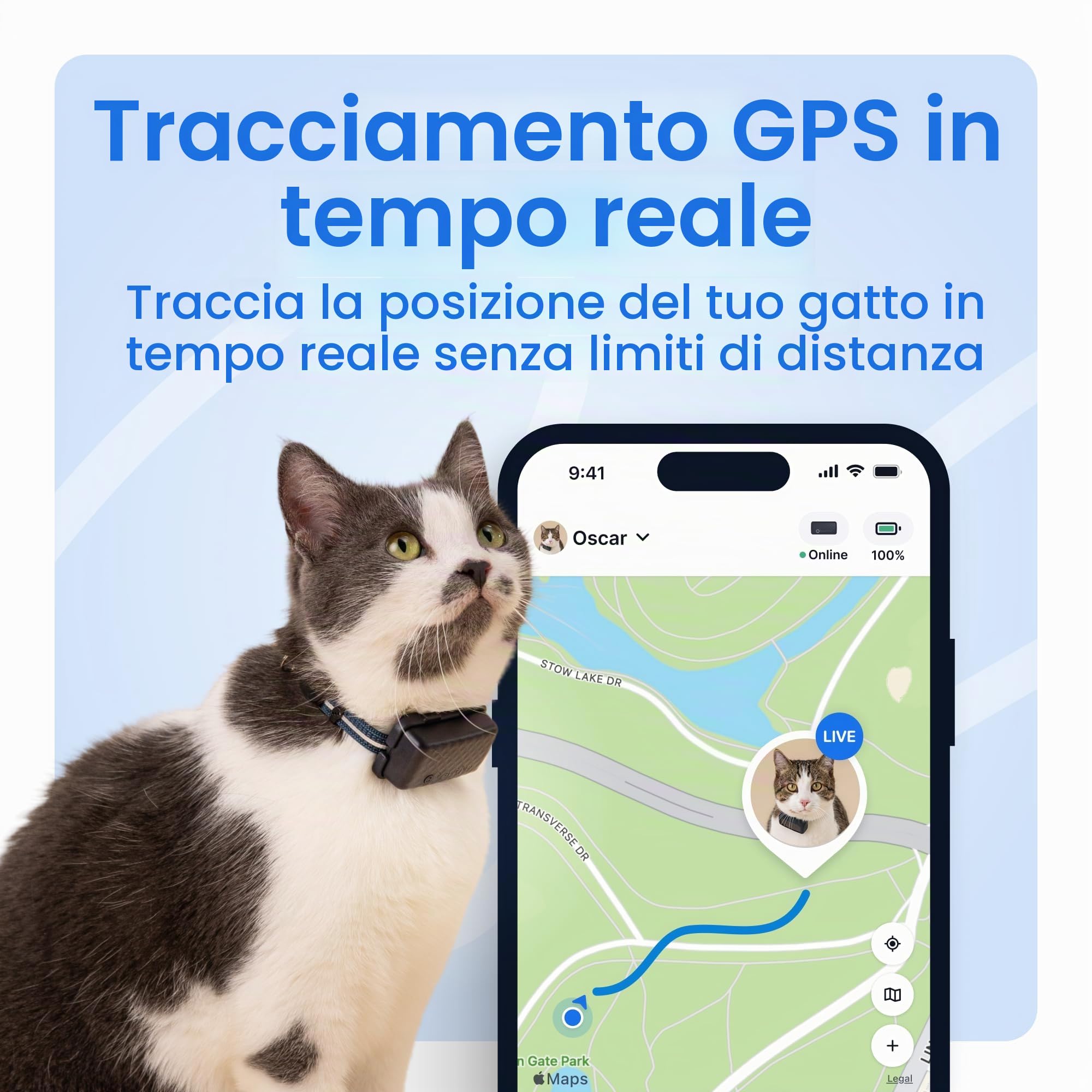 Tractive Localizzatore GPS e monitoraggio della salute per gatti (2,9 kg+) – Localizzatore di posizione GPS per animali domestici leader di mercato | Allerta benessere e fuga | Impermeabile | Funziona