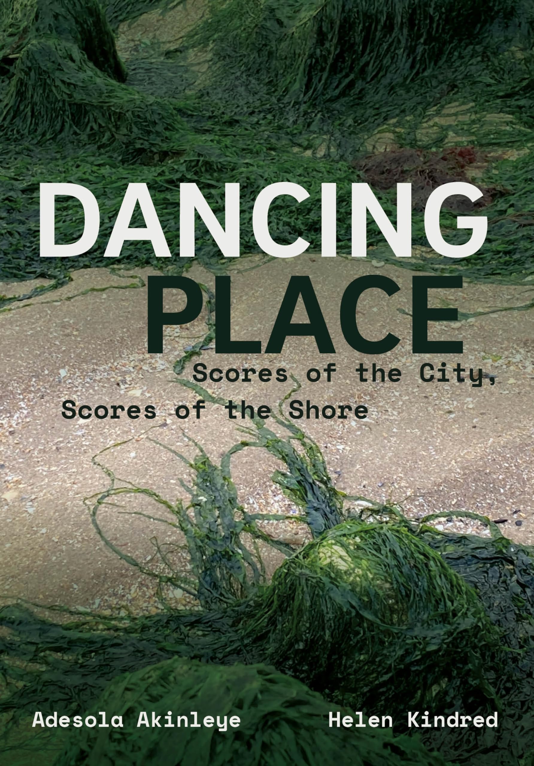 Dancing Place: Scores of the City, Scores of the Shore (English Edition)