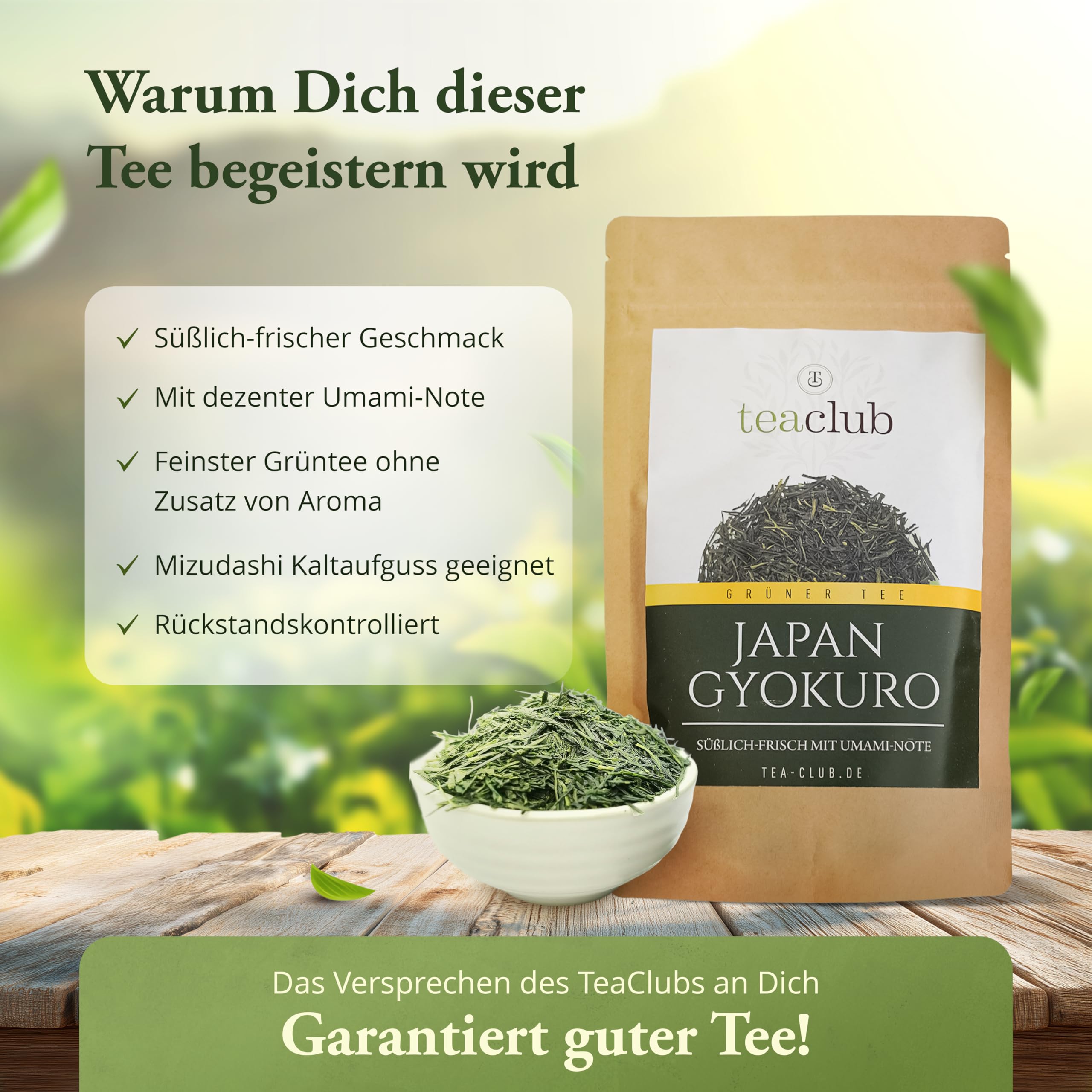 Japan Gyokuro Grüntee Kagoshima 100g, Japanischer Grüner Tee Lose Blätter, Feine Süße und Umami, TeaClub Green Tea