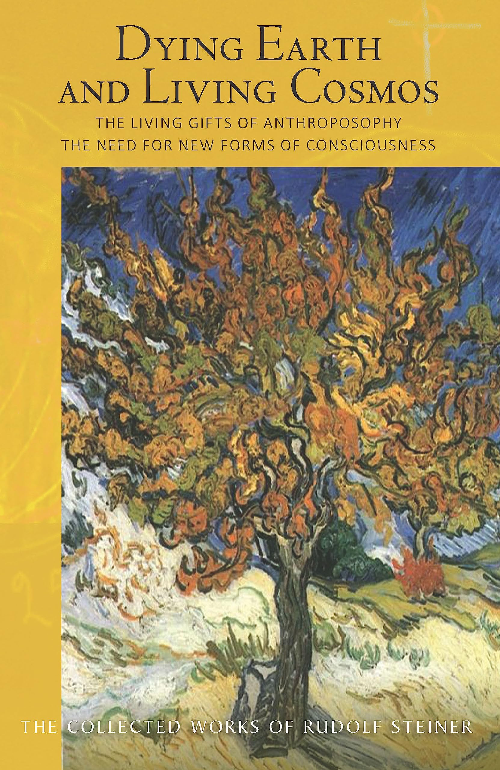 Dying Earth and Living Cosmos by Rudolf Steiner - 9781855844193