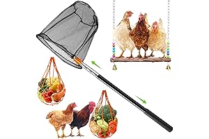 Chicken Catching Net Plus Chicken Toys