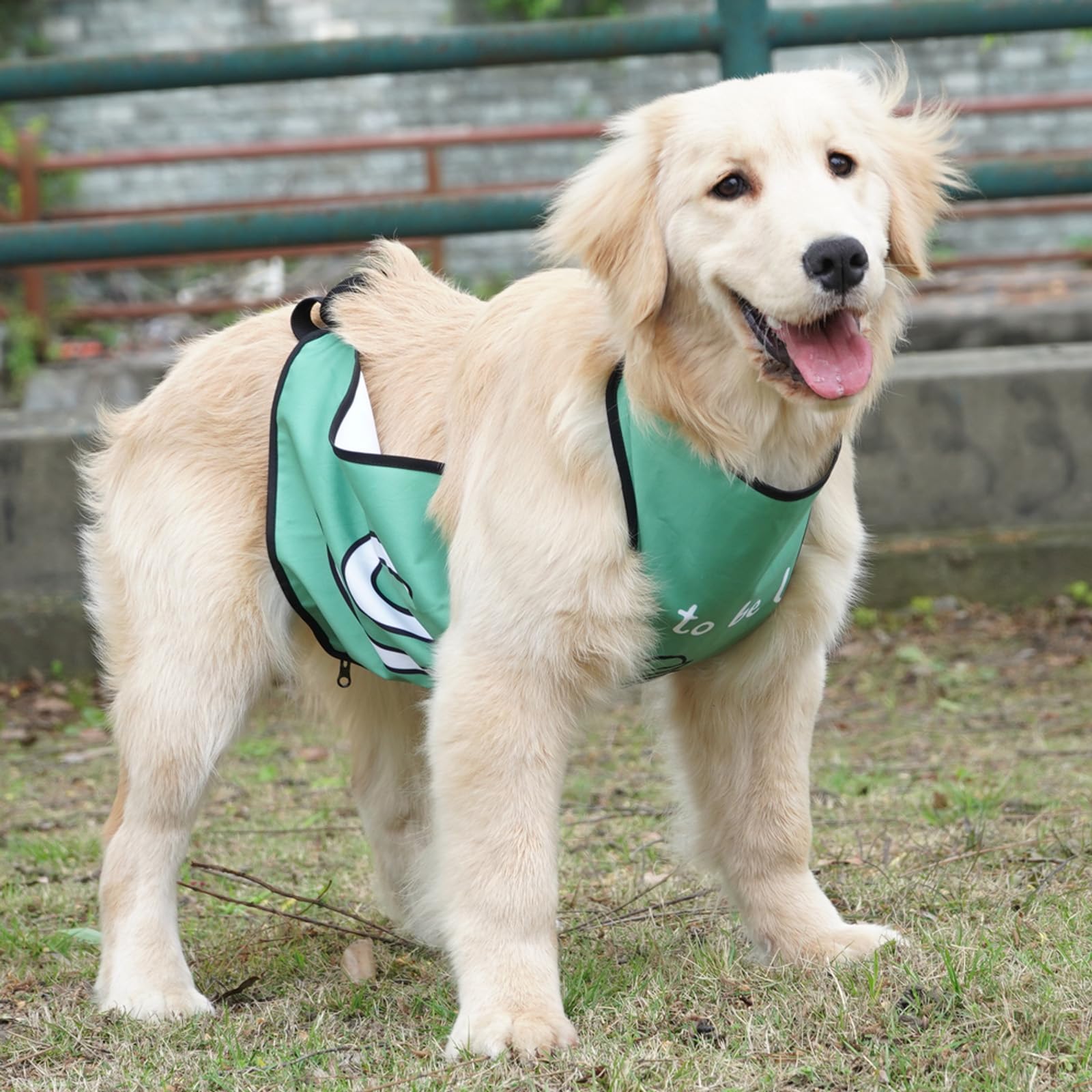 Protection ventrale imperméable avec boucles pour chien de petite, moyenne et grande taille (vert, taille M)