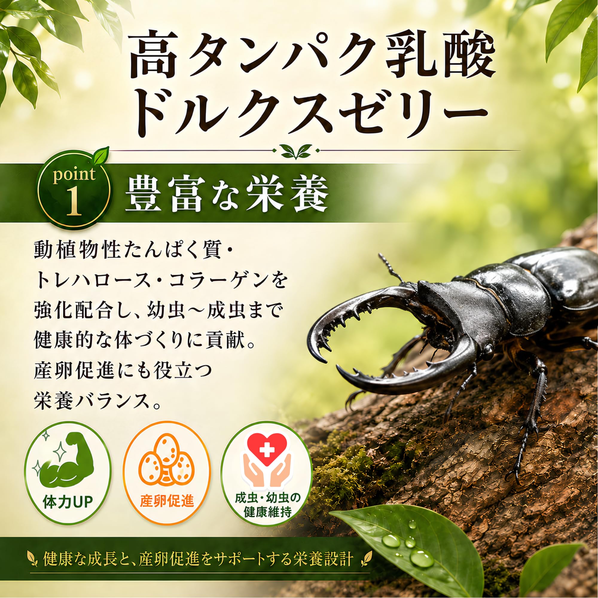 Amazon | フジコン 高タンパク乳酸ドルクスゼリー 昆虫ゼリー クワガタ