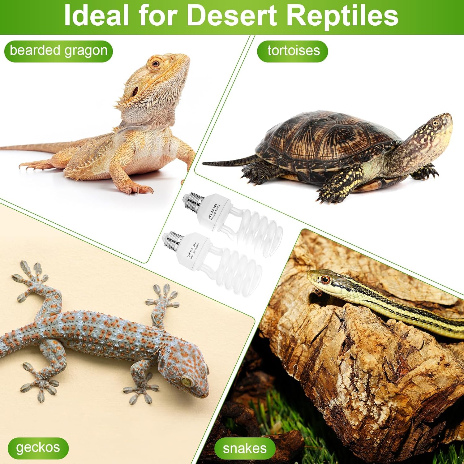 4 Pack UVB Reptile Light Bulb 10.0 Bulb for Desert Reptiles UVB Light Compact Fluorescent Terrarium Lamp for Bearded Dragon, Lizard, Tortoise, Iguanas, Snake, Gecko(26w,Light10.0)