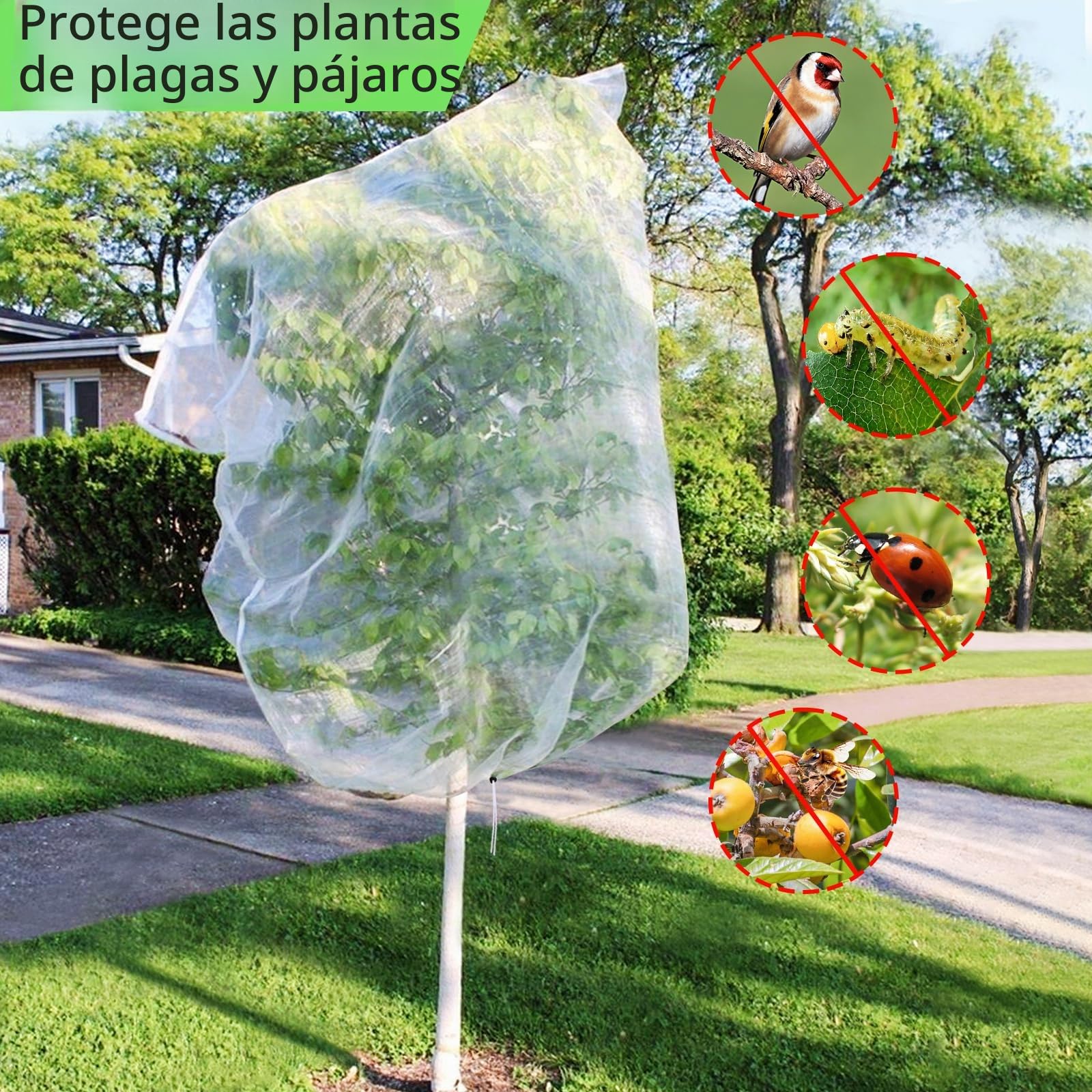 Red Protectora 3x3m para Árboles Frutales - Doble Protección Anti-Aves y Anti-Insectos, Malla Antiplagas con Cierre Ajustable para Higueras/Cerezos