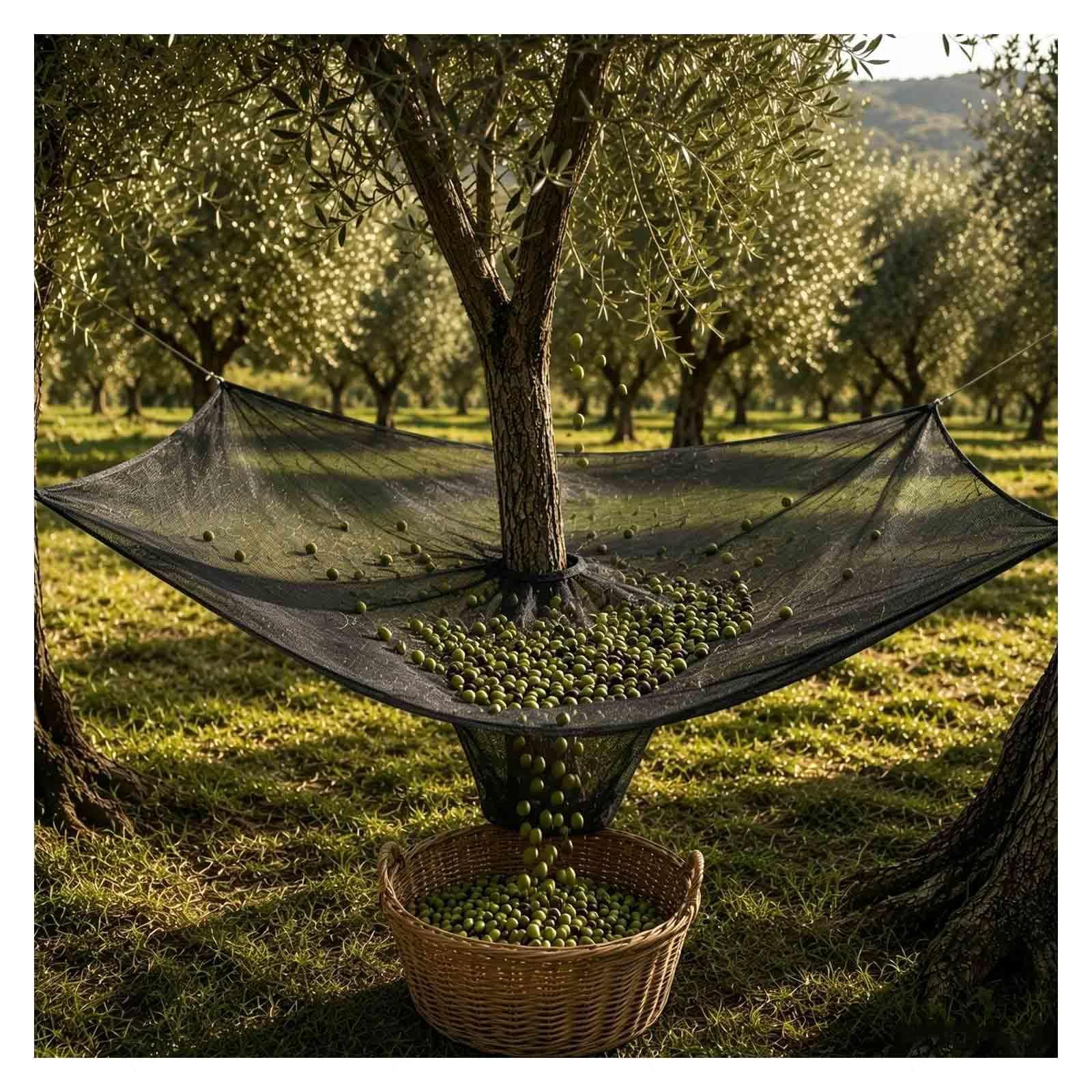 Rongyewxae Fruit Catcher Net, with Export Hoop and Loop Side Rope Strap Fruit Catching Net Heavy Duty Reusable for Olive, Walnut, Apple, Pecan,Square-13×12.5ft(4×3.8m)