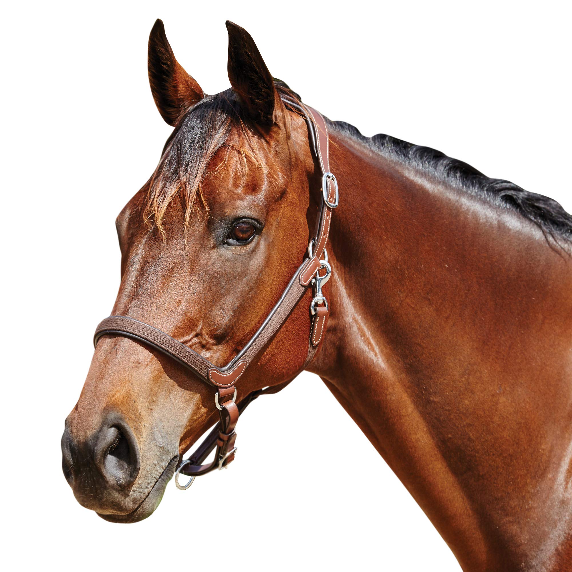 Weatherbeeta - Cabezada de piel modelo Comfitec (Pony) (Marrón)